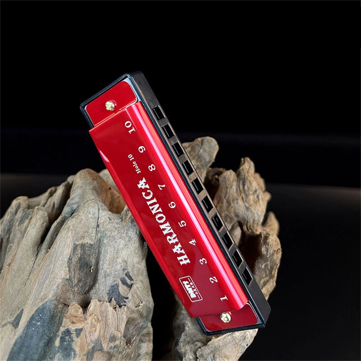 Harmonica Key of C 10 Hole Diatonic Harmonica C with Case for