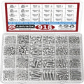 918pcs Nuts and Bolts Assortment Kit - M2, M3, M4