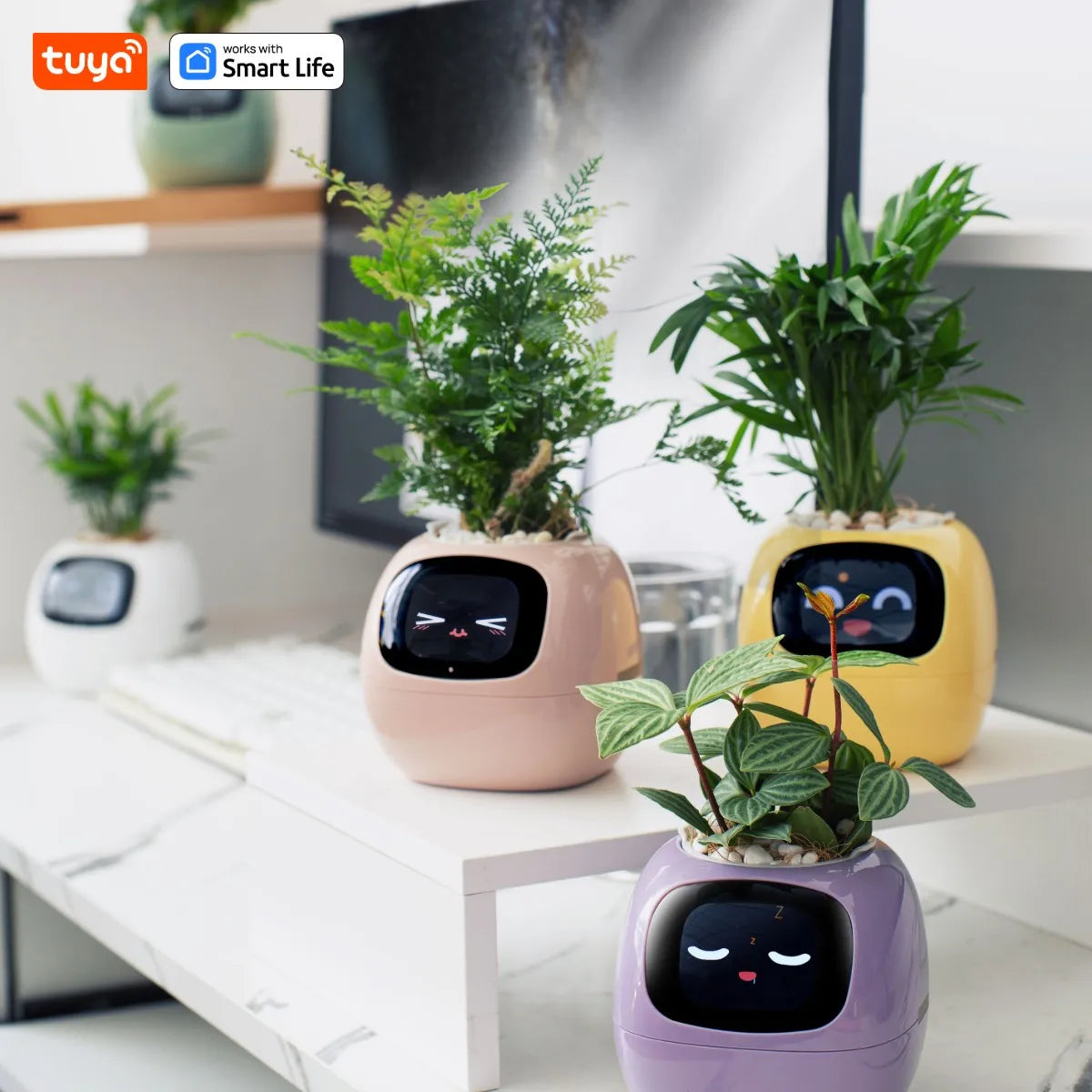 Tuya Ivy Smart Planter Gen1 – AI Sensors & 49+ Expressions