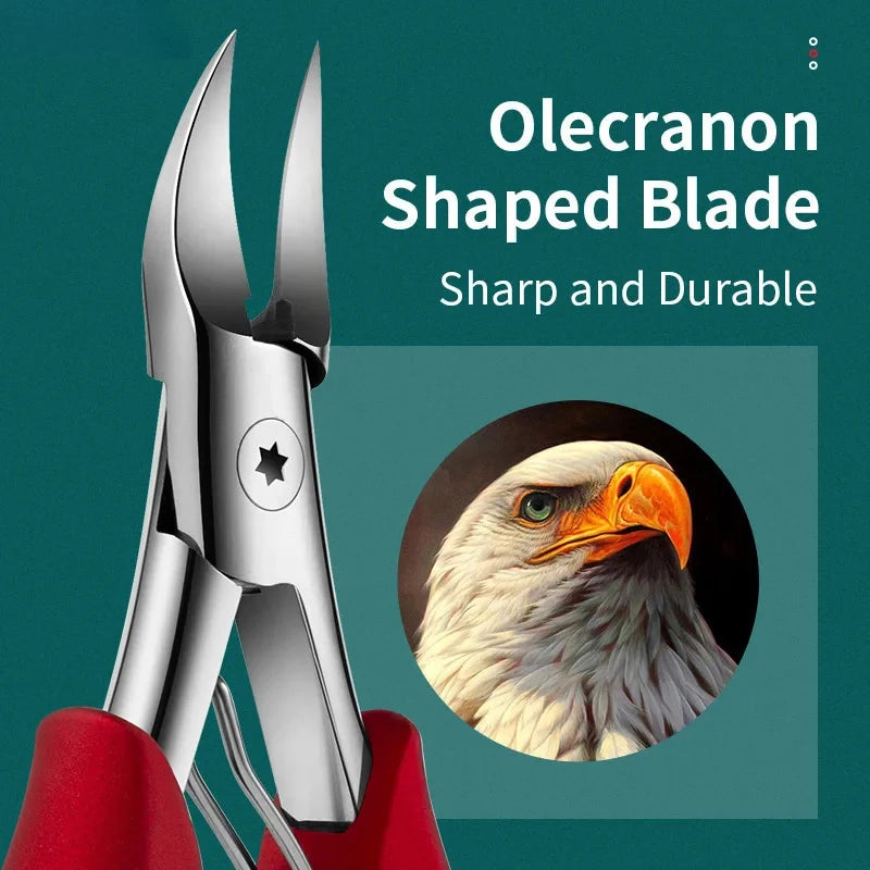 Professional Grade Concave Stainless Steel Nail Clippers for Thick