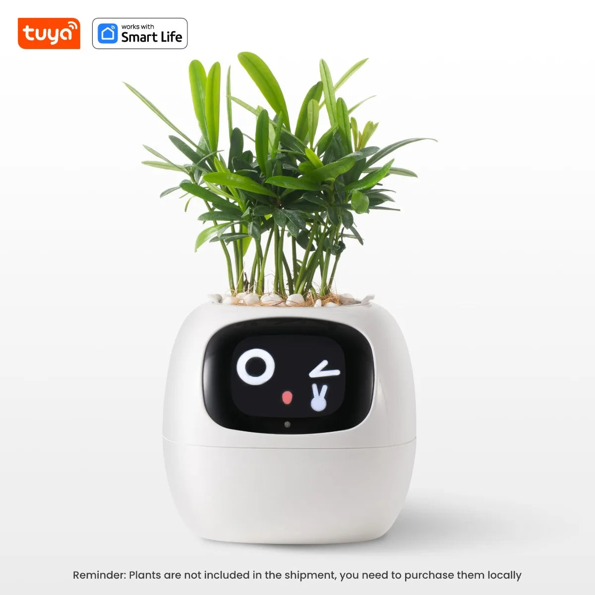 Tuya Ivy Smart Planter Gen1 – AI Sensors & 49+ Expressions