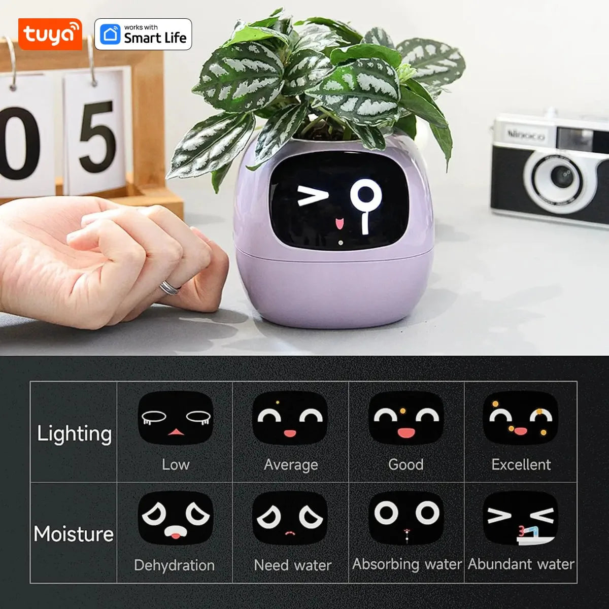Tuya Ivy Smart Planter Gen1 – AI Sensors & 49+ Expressions