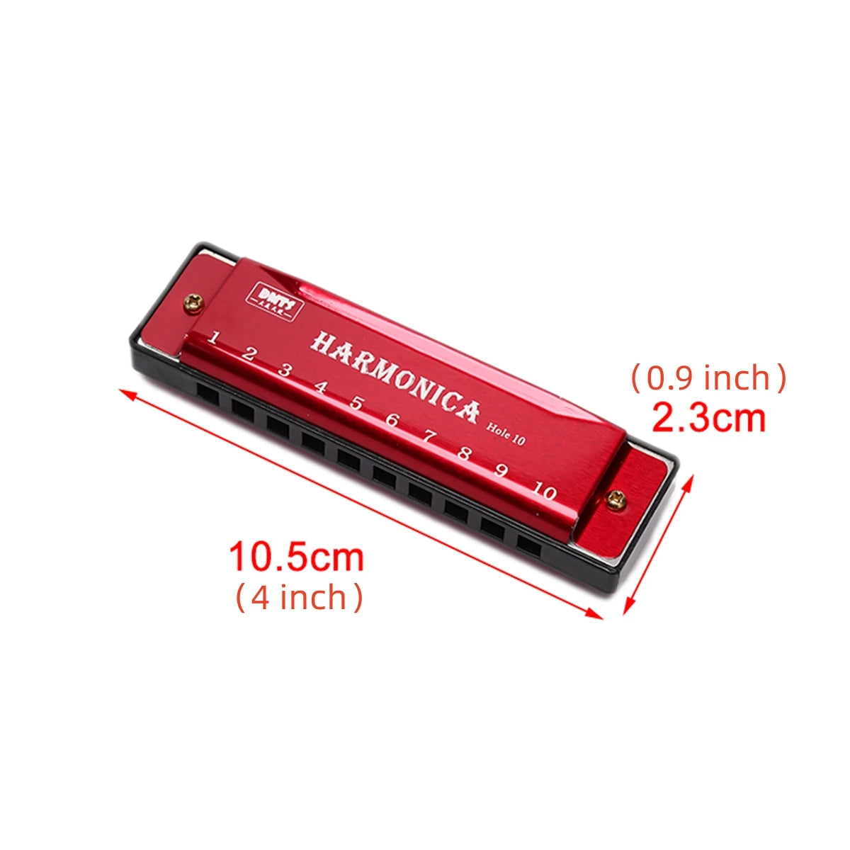 Harmonica Key of C 10 Hole Diatonic Harmonica C with Case for
