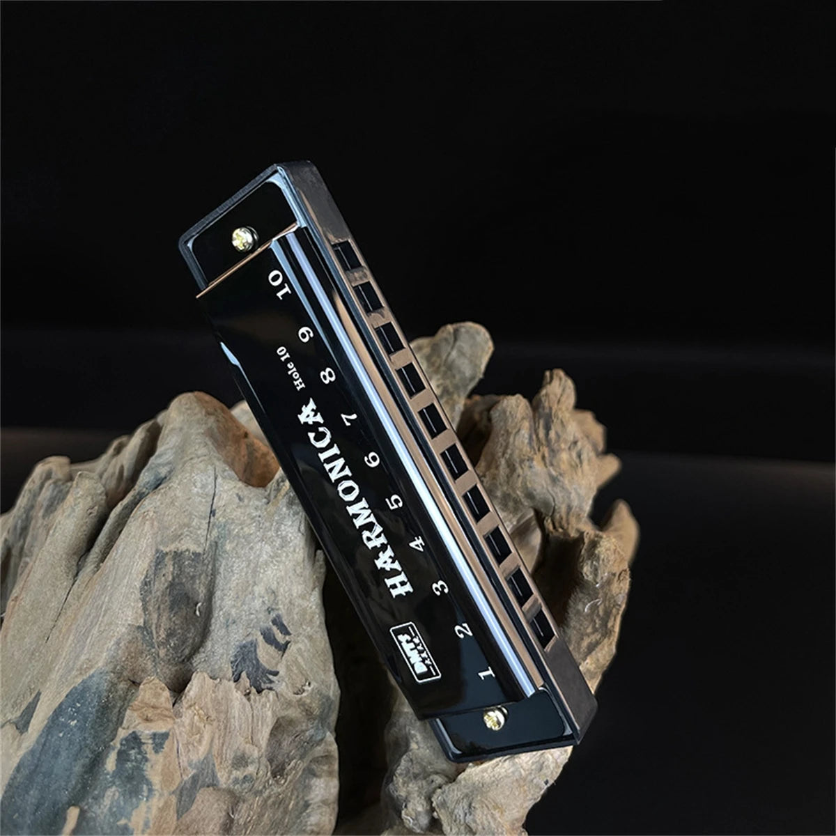 Harmonica Key of C 10 Hole Diatonic Harmonica C with Case for