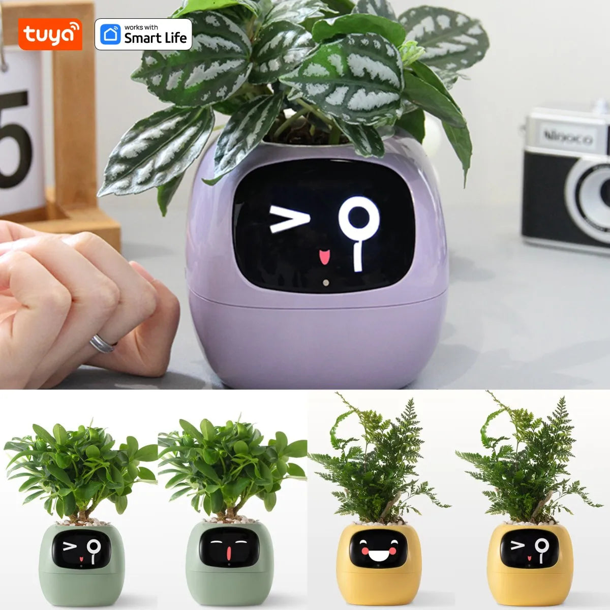 Tuya Ivy Smart Planter Gen1 – AI Sensors & 49+ Expressions