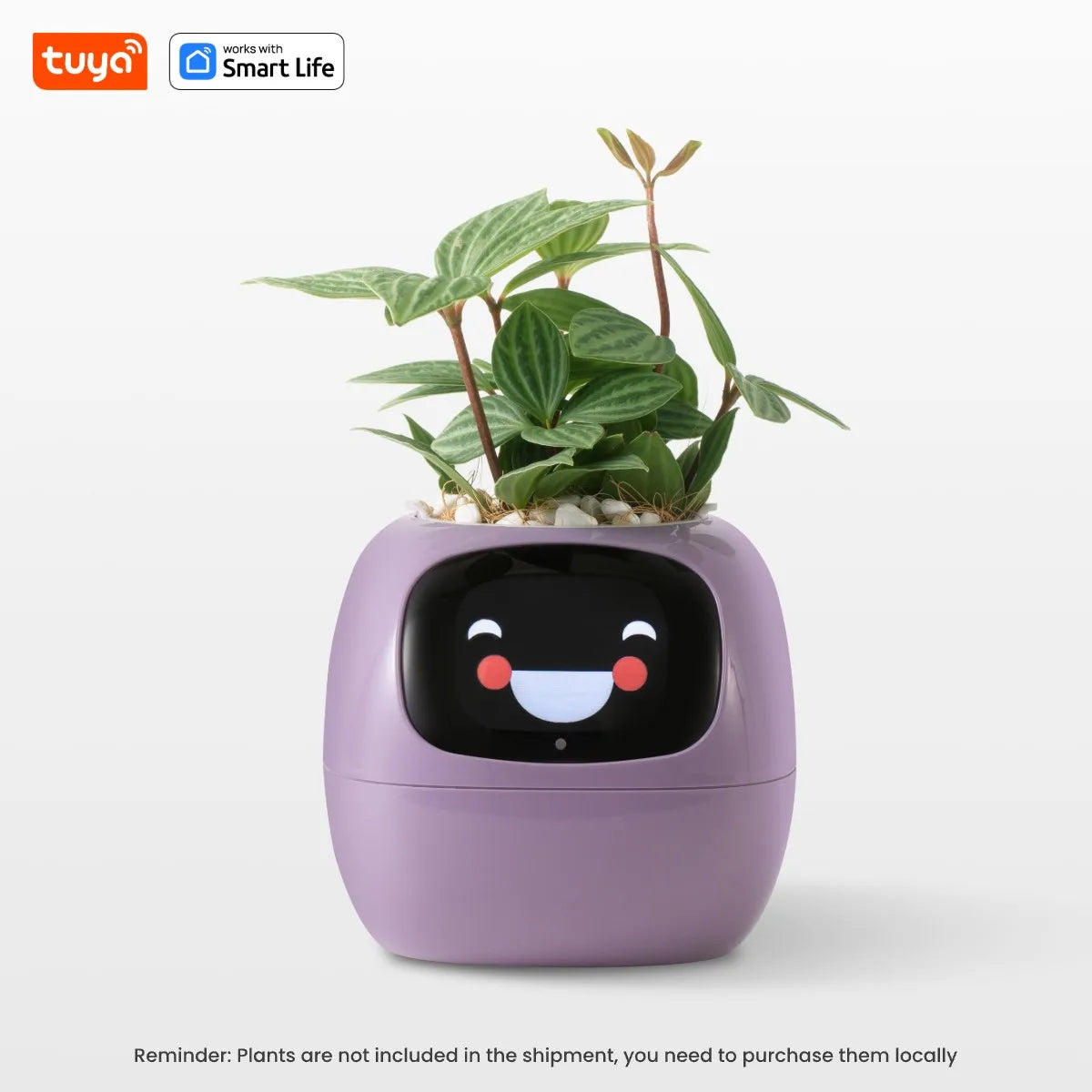 Tuya Ivy Smart Planter Gen1 – AI Sensors & 49+ Expressions