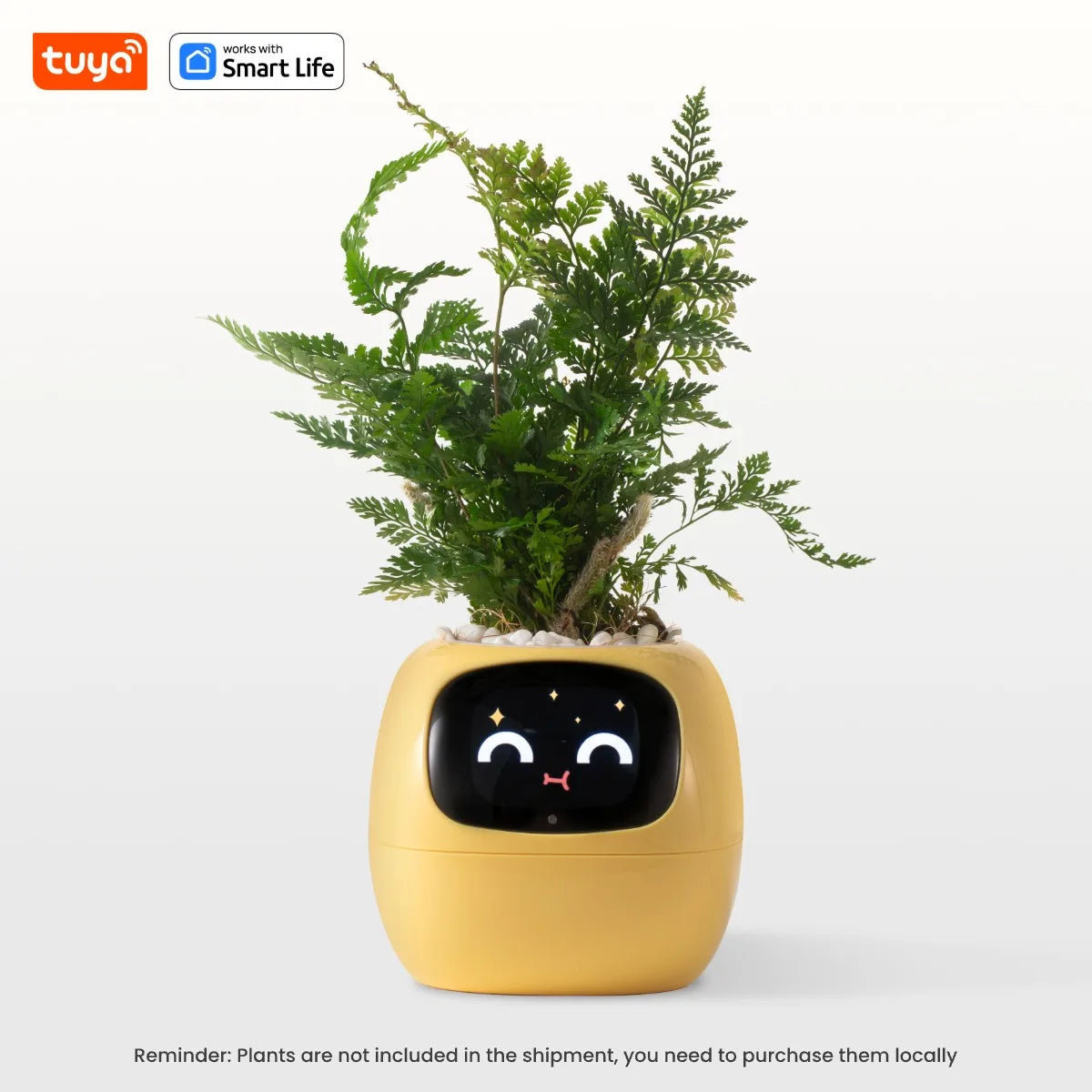 Tuya Ivy Smart Planter Gen1 – AI Sensors & 49+ Expressions