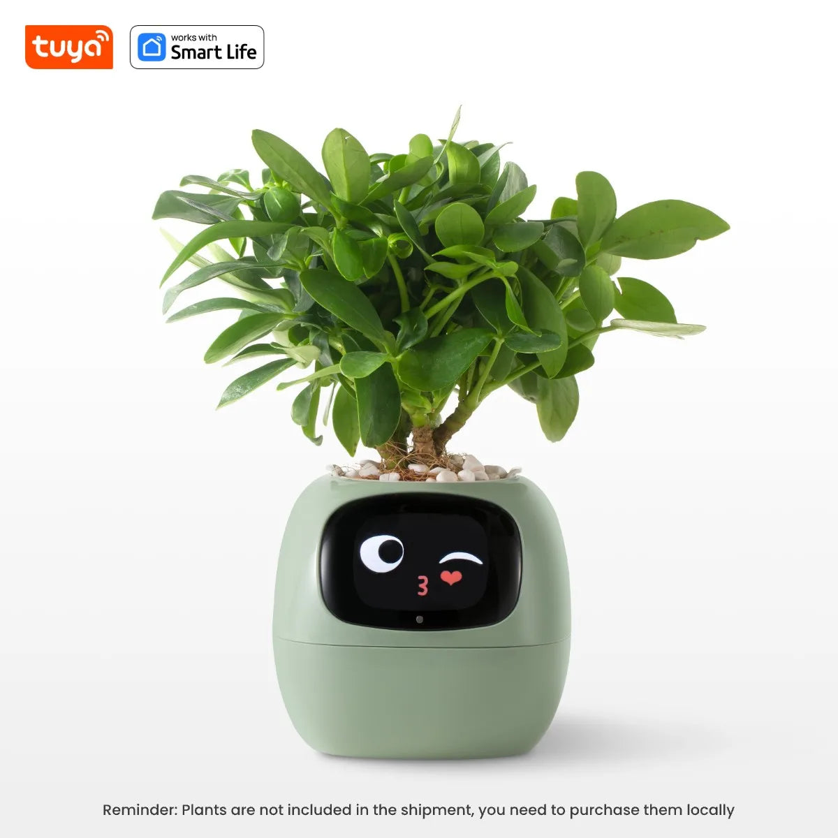 Tuya Ivy Smart Planter Gen1 – AI Sensors & 49+ Expressions