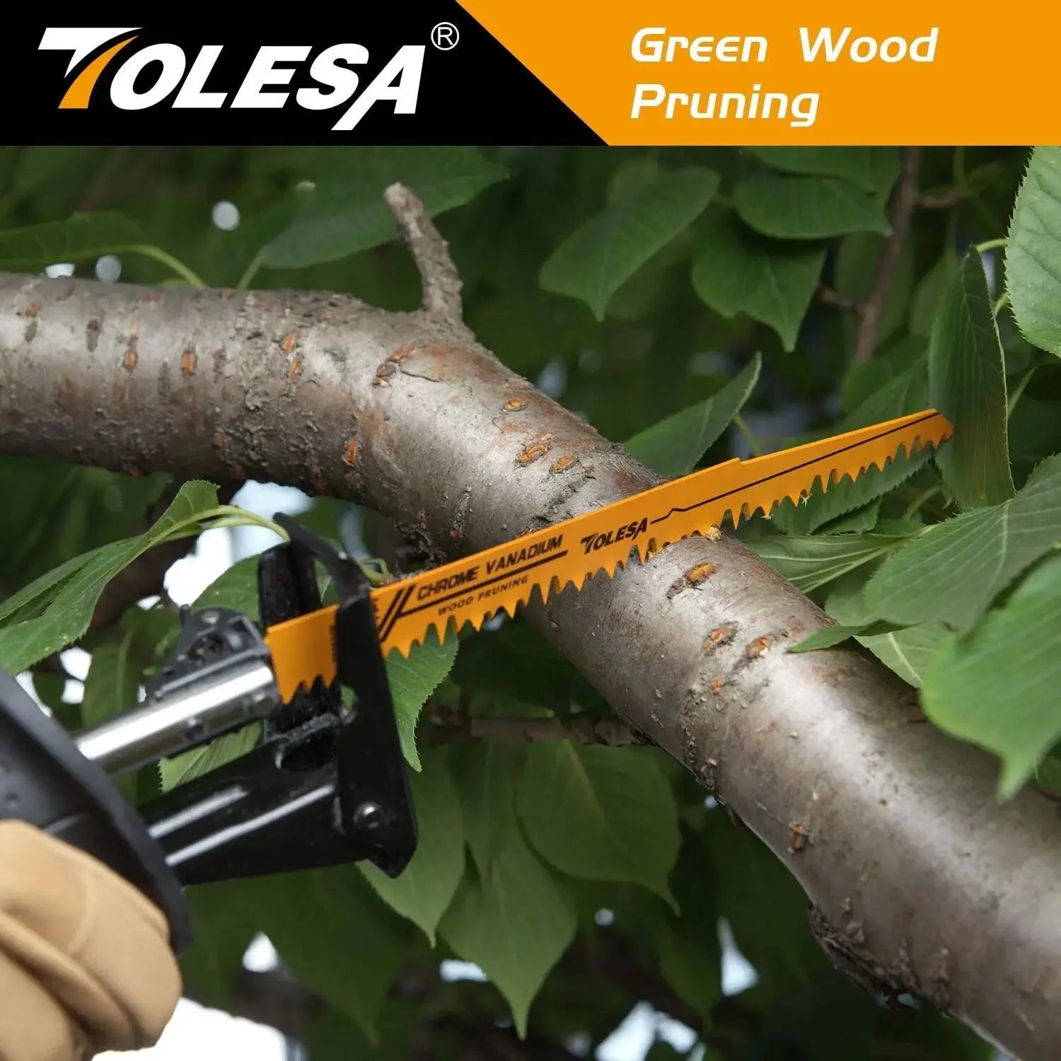 TOLESA 10-Pack Bi-Metal Reciprocating Saw Blades – Wood, PVC & Metal
