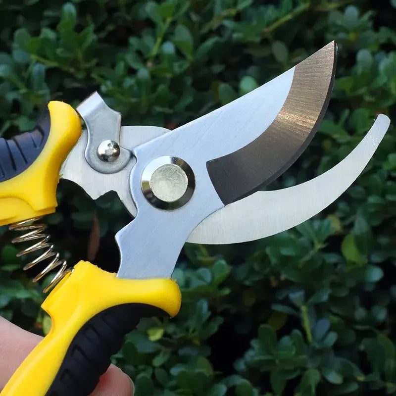 Stainless Steel Professional Gardening Shears Pruning branches Fruit